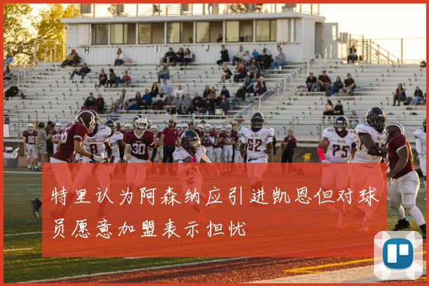 特里认为阿森纳应引进凯恩但对球员愿意加盟表示担忧