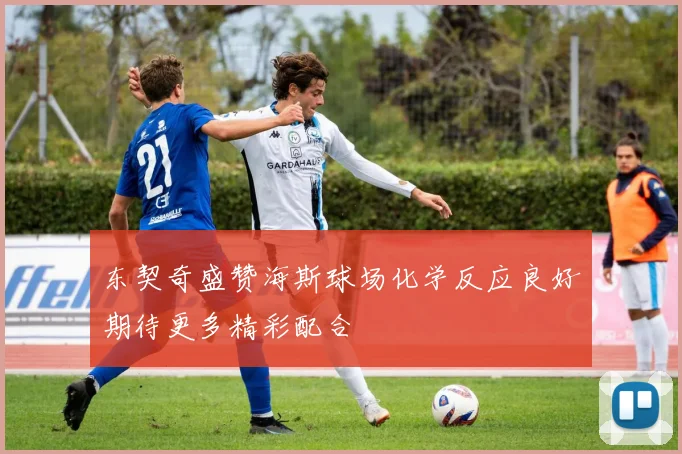 东契奇盛赞海斯球场化学反应良好期待更多精彩配合
