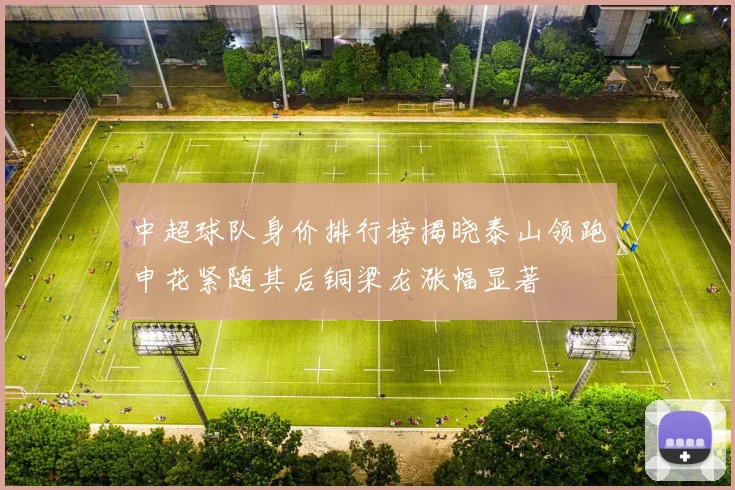 中超球队身价排行榜揭晓泰山领跑申花紧随其后铜梁龙涨幅显著